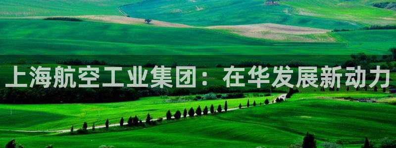 彩神v8几个版本：上海航空工业集团：在华发展新动力