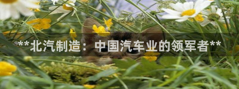 彩神8购彩-购彩大厅：**北汽制造：中国汽车业的领军者**