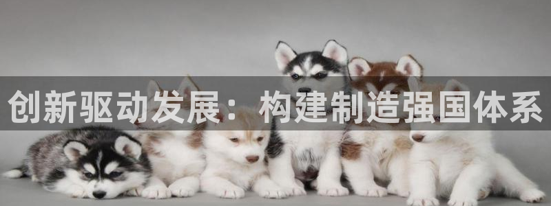 彩神v8是真的挣钱吗安全吗：创新驱动发展：构建制造强国体系