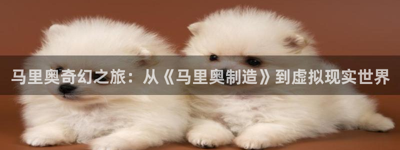 下载彩神通关注码：马里奥奇幻之旅：从《马里奥制造》到虚拟现实