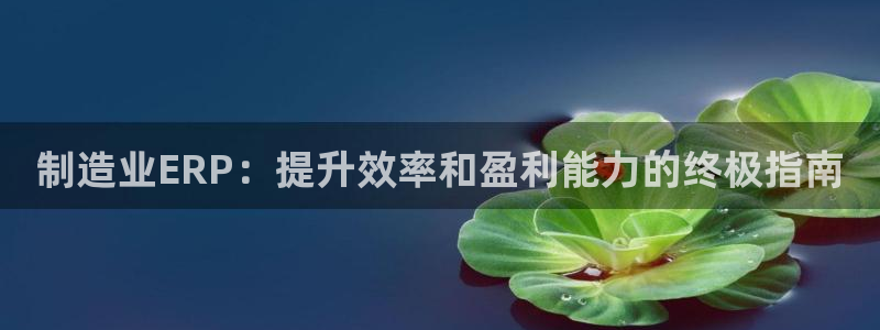 彩神ix平台：制造业ERP：提升效率和盈利能力的终极指南