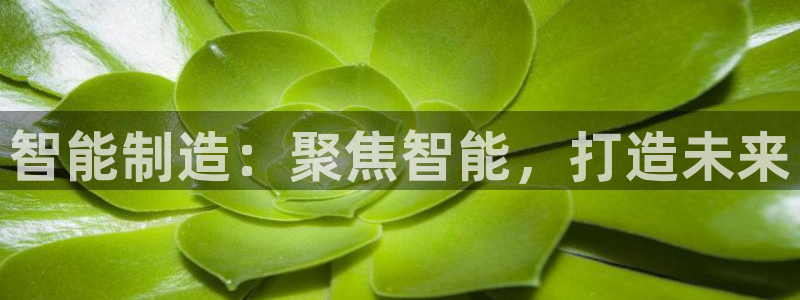 彩神数码科技有限公司：智能制造：聚焦智能，打造未来