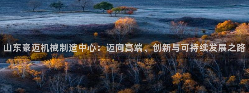 彩神争霸平台：山东豪迈机械制造中心：迈向高端、创新与可持续发展之路