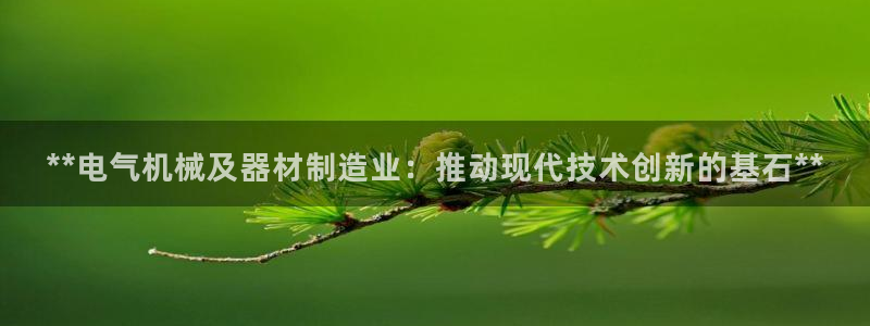 新版彩神v8登录教程：**电气机械及器材制造业：推动现代技术创新的基石**