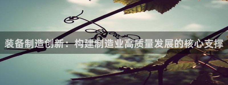 彩神8是正规平台吗知乎：装备制造创新：构建制造业高质量发展的核心支撑