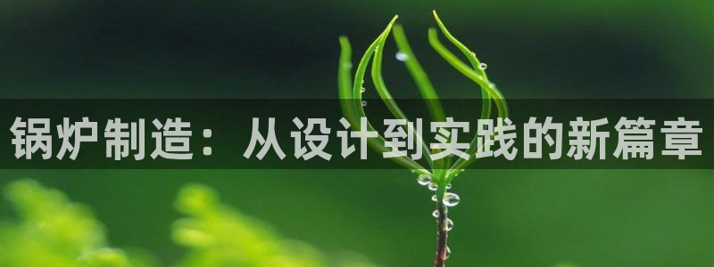 彩神广告有限公司：锅炉制造：从设计到实践的新篇章