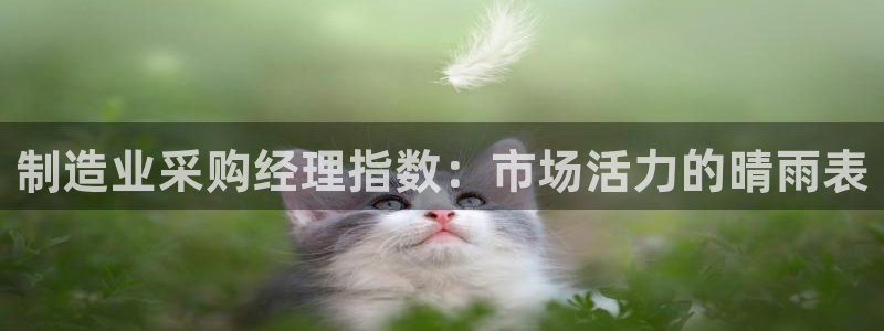 彩神V集团有限公司：制造业采购经理指数：市场活力的晴雨表