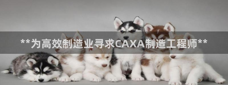 彩神是真的吗：**为高效制造业寻求CAXA制造工程师**