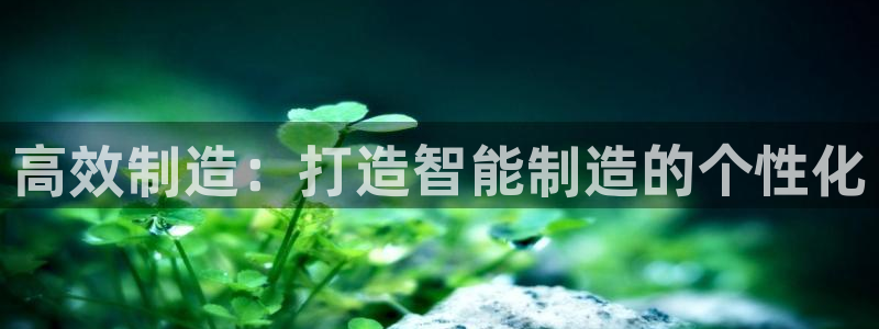 彩神V集团公司：高效制造：打造智能制造的个性化