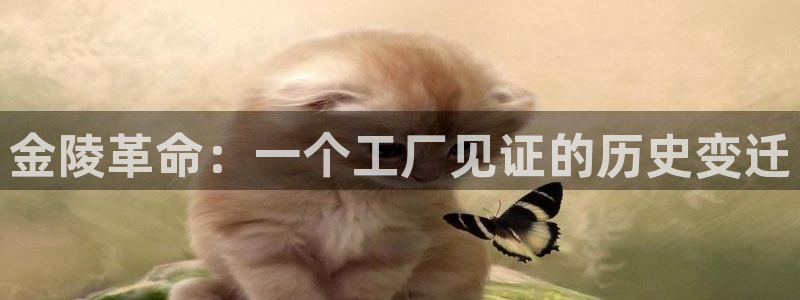 彩神v8手机客户端怎么下载：金陵革命：一个工厂见证的历史变迁